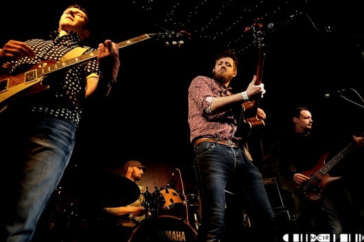 Searching for Donkeys