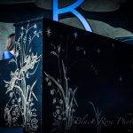Birdy at Belladrum 2017